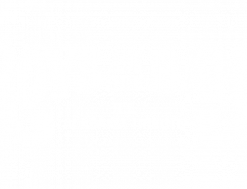 Boys In the Band – Alabama Tribute